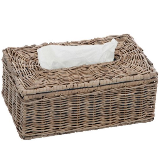 Rotan