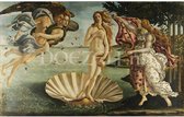 Diamond Painting De geboorte van Venus 50x80cm. (Volledige bedekking - Vierkante steentjes) diamondpainting inclusief tools