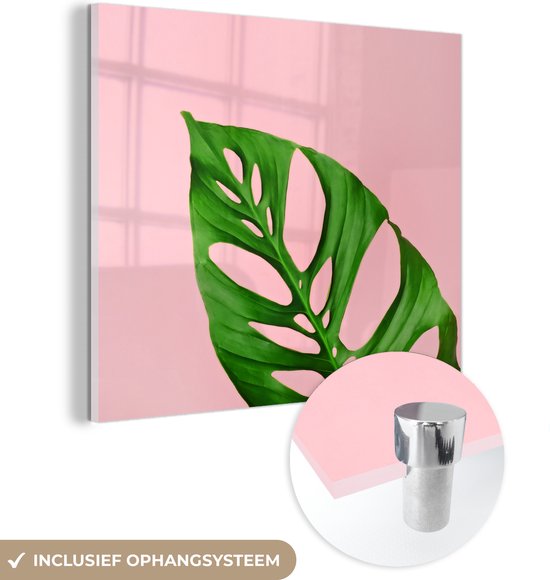 Glasschilderij - Botanisch blad met felle kleur als achtergrond - Plexiglas Schilderijen