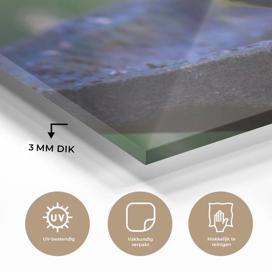 MuchoWow® Peinture sur verre 40x30 cm - Peinture sur verre acrylique - Mésange charbonnière sur un bain d'oiseaux en granit - Photo sur verre - Peintures