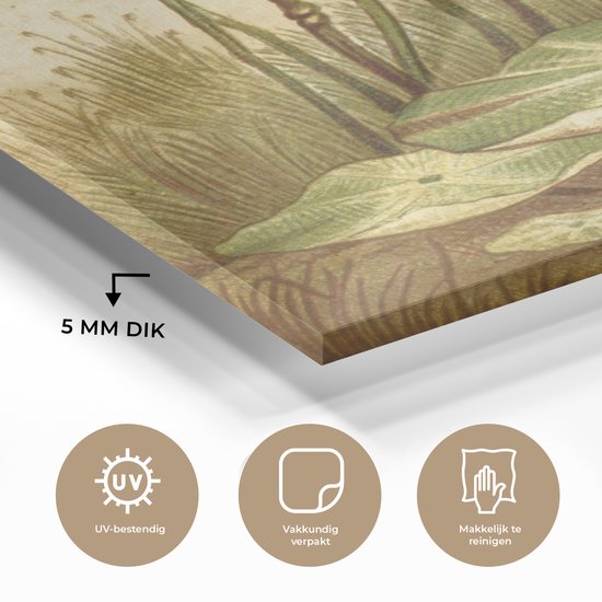 MuchoWow® Peinture sur verre - Oiseaux antiques imprimés oiseaux élégants - 120x160 cm - Peintures sur verre acrylique - Photo sur Glas