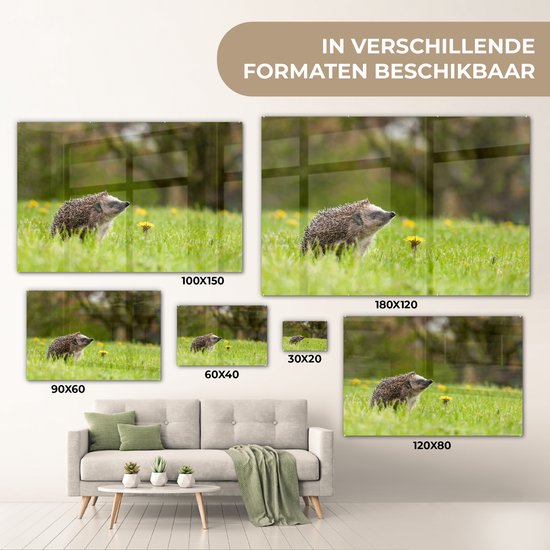 MuchoWow® Peinture sur verre 180x120 cm - Peinture acrylique sur verre - Hérisson - Bloem - Printemps - Photo sur verre - Peintures