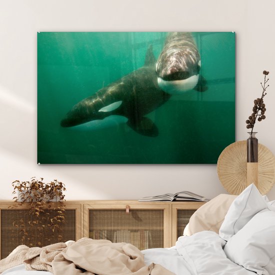 Peinture sur verre - Deux orques dans l'eau - 90x60 cm - Peintures Acryliques - Photo sur Glas