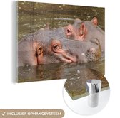 MuchoWow® Glasschilderij 150x100 cm - Schilderij acrylglas - Nijlpaard - Water - Natuur - Foto op glas - Schilderijen