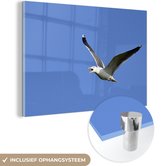 MuchoWow® Glasschilderij 150x100 cm - Schilderij acrylglas - Prachtige foto van een zilvermeeuw die aan het vliegen - Foto op glas - Schilderijen