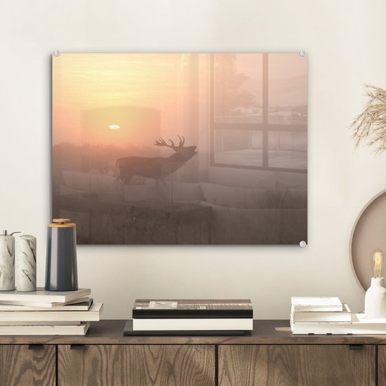MuchoWow® Peinture sur verre - Cerf - Soleil - Brouillard - 40x30 cm - Peintures sur verre acrylique - Photo sur Glas