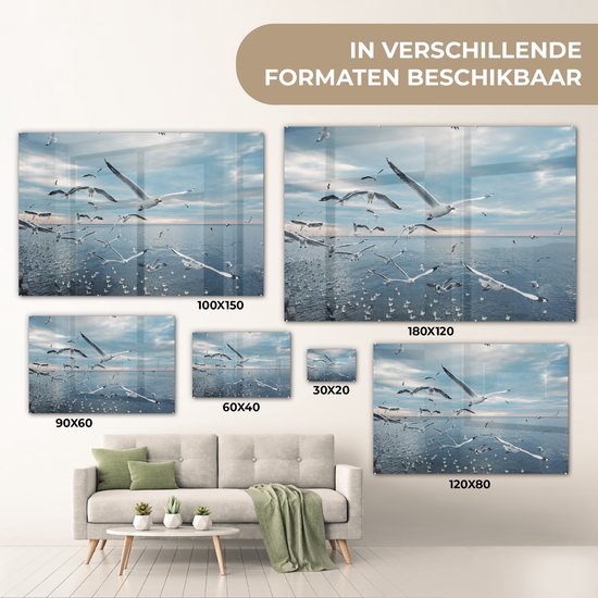 MuchoWow® Peinture sur Verre - Gros Plan Volée de Mouettes - 120x80 cm - Peintures sur Verre Peintures - Photo sur Glas