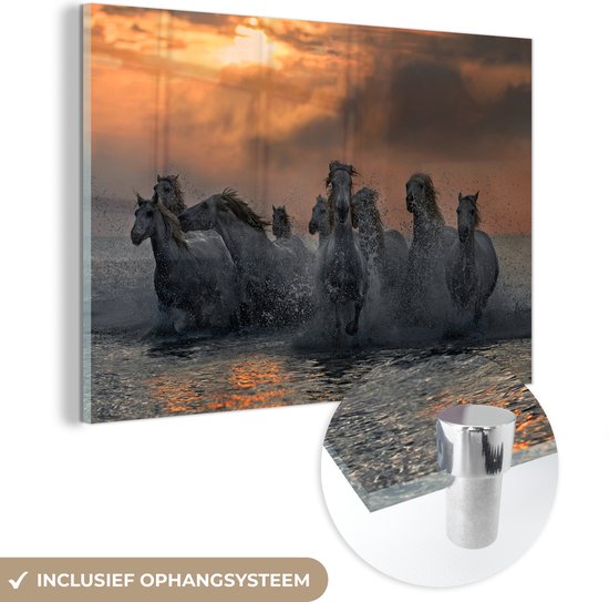 MuchoWow® Glasschilderij 150x100 cm - Schilderij acrylglas - Paarden - Kudde - Zee - Foto op glas - Schilderijen