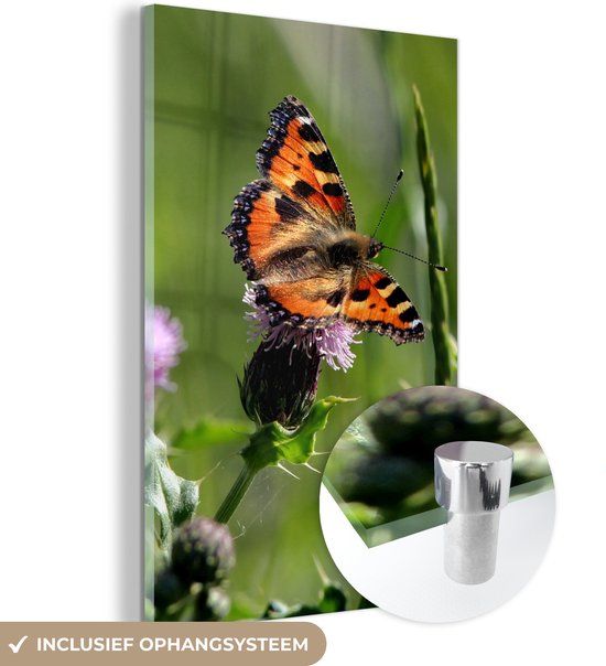 Glasschilderij - Vlinder - Bloemen - Oranje - Acrylglas Schilderijen - Foto op Glas