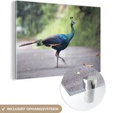 MuchoWow® Glasschilderij 180x120 cm - Schilderij acrylglas - Pauw - Dieren - Veren - Foto op glas - Schilderijen