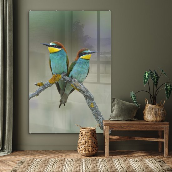 MuchoWow® Tableau sur Verre - Deux Mignons Guêpiers Regarder Ailleurs - 100x150 cm - Peintures sur Verre Acrylique - Photo sur Glas