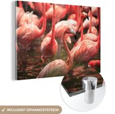 MuchoWow® Glasschilderij 120x80 cm - Schilderij acrylglas - Groep flamingo's in het water van dichtbij - Foto op glas - Schilderijen