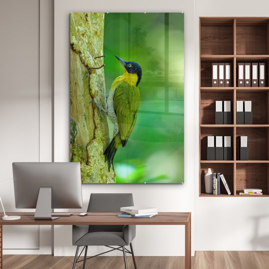 MuchoWow® Peinture sur verre 100x150 cm - Peinture sur verre acrylique - Un beau pic terrestre à fourrure jaune grimpe verticalement sur un arbre - Photo sur verre - Peintures