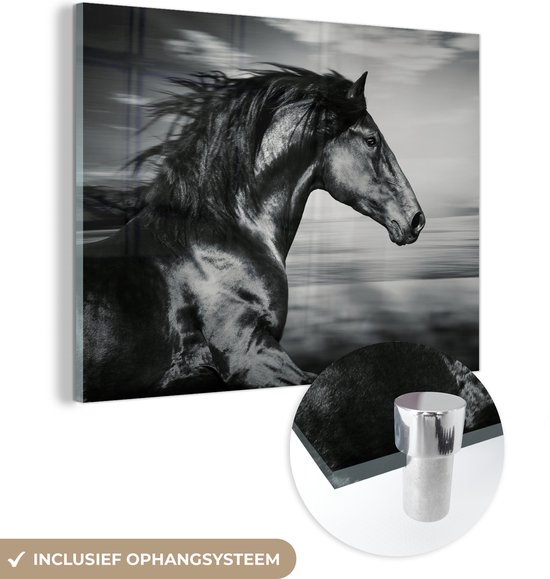 MuchoWow - Peinture sur verre - Photo sur verre - Verre acrylique - Animaux - Cheval - Nature - Zwart et blanc - Décoration murale - 160x120 cm - Peinture cheval - Peintures de salon