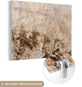 MuchoWow® Glasschilderij 160x120 cm - Schilderij acrylglas - Pampasgras - Plant - Natuur - Foto op glas - Schilderijen