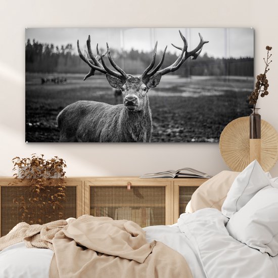 Tableau sur verre - Photo sur verre - Animaux - Cerf - Bois - Forêt - Nature - 120x60 cm - Verre acrylique - Décoration murale verre - Tableau sur verre cerf - Tableau sur verre animaux - Décoration d'intérieur