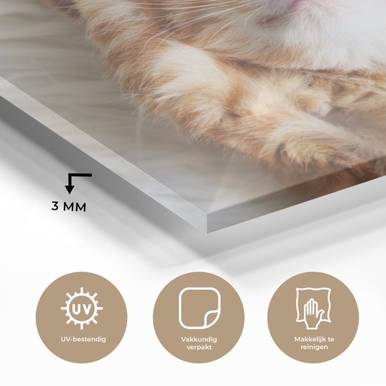 Peinture sur verre - Photo sur verre - Verre acrylique - Chat - Couverture - Chat - Chaton - Animaux - Peintures salon - 40x30 cm - Peinture sur verre - Décoration murale - Décoration murale