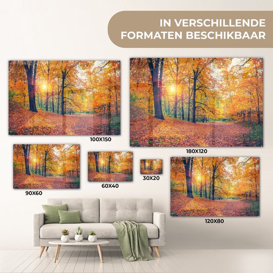 MuchoWow® Glasschilderij 90x60 cm - Schilderij acrylglas - Bomen - Herfst - Bos - Herfstbladeren - Foto op glas - Schilderijen