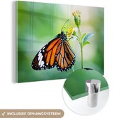 MuchoWow® Glasschilderij 120x80 cm - Schilderij acrylglas - Vlinder - Bloemen - Insecten - Foto op glas - Schilderijen