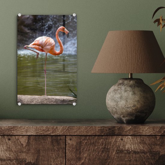 Flamant rose fond sombre Verre 20x30 cm - petit - Tirage photo sur verre (décoration murale en plexiglas)