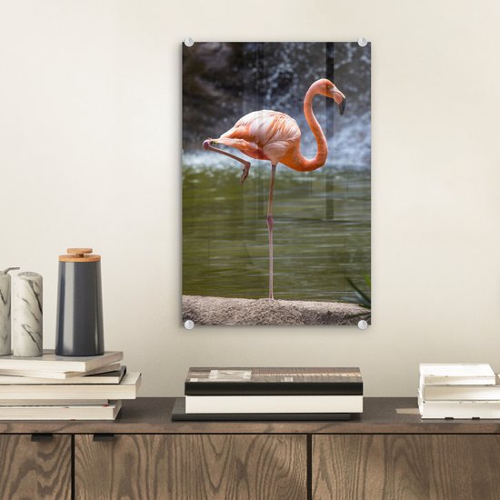 Flamant rose fond sombre Verre 20x30 cm - petit - Tirage photo sur verre (décoration murale en plexiglas)