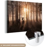 150 cm x 100 cm