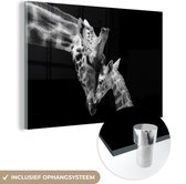 Glasschilderij - Foto op glas - Wilde dieren - Giraffe - Familie - Zwart - Wit - Acrylglas - 120x80 cm - Glasschilderij giraffe - Wanddecoratie dieren - Schilderij glas