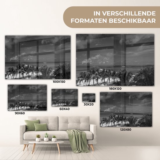 MuchoWow® Peinture sur verre - Aruba - Palmier - Zwart - Wit - 60x40 cm - Peintures sur verre acrylique - Photo sur Glas