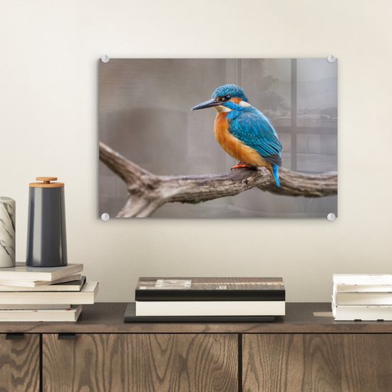 ® Glasschilderij 30x20 cm - Schilderij acrylglas - IJsvogel - Takken - Portret - Foto op glas - Muurdecoratie woonkamer - Wanddecoratie slaapkamer - Schilderijen