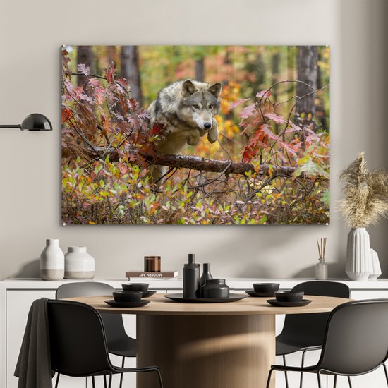 Peinture sur verre - Loup - Branche - Forêt - 120x80 cm - Peintures Plexiglas