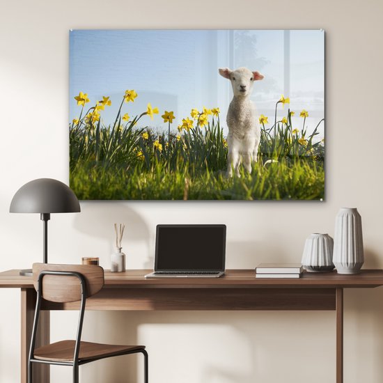 Agneau parmi les fleurs jaunes Plexiglas 120x80 cm - Tirage photo sur Glas (décoration murale plexiglas)