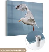 MuchoWow® Glasschilderij 160x120 cm - Schilderij acrylglas - Vogel - Veren - Zeemeeuw - Foto op glas - Schilderijen