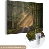 MuchoWow® Glasschilderij 180x120 cm - Schilderij acrylglas - Bos - Boom - Pad - Foto op glas - Schilderijen