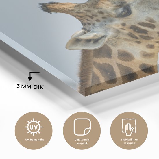 Peinture sur Verre - Girafes - Animaux - Ciel - 30x20 cm - Peintures Plexiglas