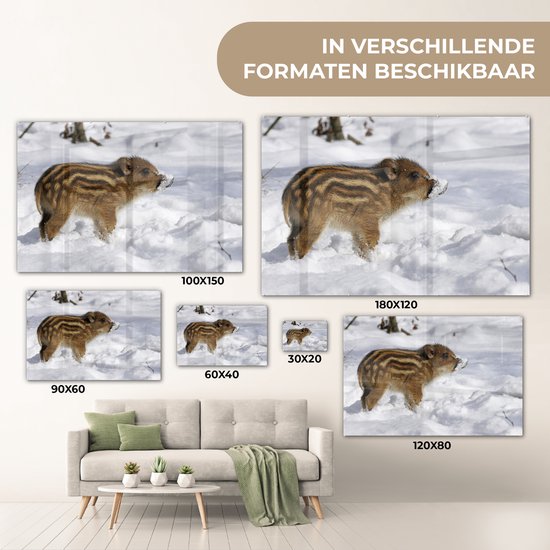 Peinture sur Verre - Sanglier - Animal - Neige - 150x100 cm - Peintures sur Verre Peintures - Photo sur Glas