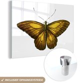 MuchoWow® Glasschilderij 60x40 cm - Schilderij acrylglas - Retro - Vlinder - Geel - Foto op glas - Schilderijen