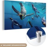 MuchoWow® Glasschilderij 40x20 cm - Schilderij acrylglas - Pinguïns onder water - Foto op glas - Schilderijen