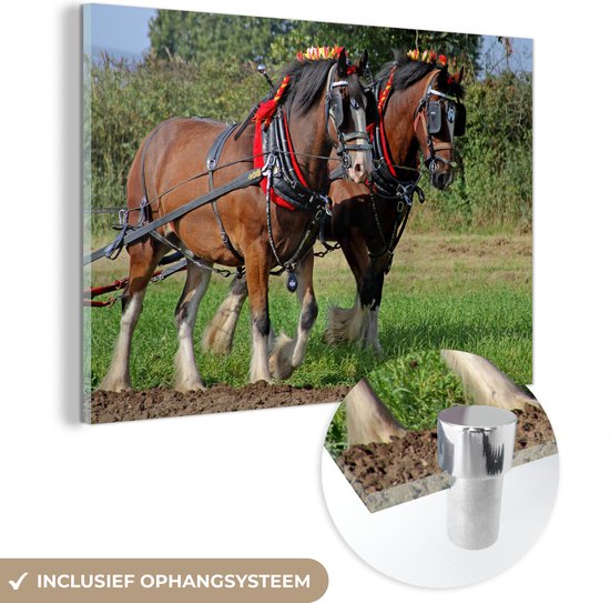 MuchoWow® Glasschilderij 180x120 cm - Schilderij acrylglas - Twee lopende Shire paarden met versierde manen - Foto op glas - Schilderijen