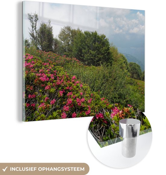 MuchoWow® Glasschilderij 80x60 cm - Schilderij acrylglas - Wilde bloemen op berg Spalavera in het Nationaal park Val Grande - Foto op glas - Schilderijen