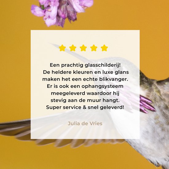 Un colibri calliope sur fond jaune Plexiglas 60x40 cm - Tirage photo sur Glas (Décoration murale plexiglas)