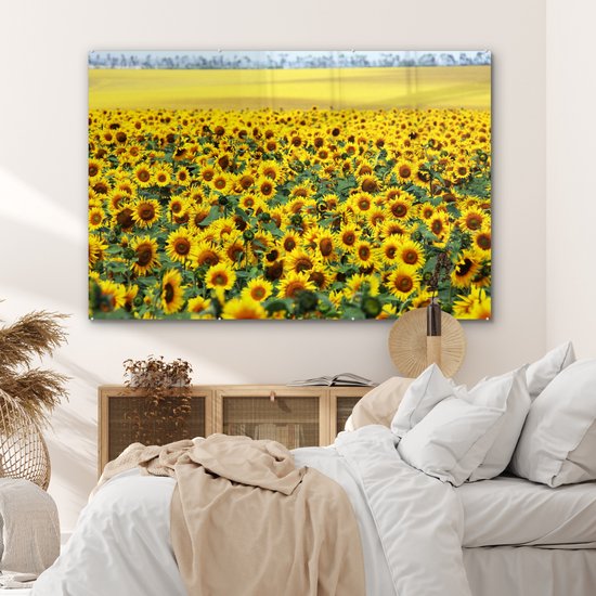 MuchoWow® Peinture sur verre 180x120 cm - Peinture sur verre acrylique - Tournesol - Fleurs - Nature - Photo sur verre - Peintures