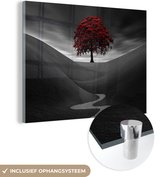 MuchoWow® Glasschilderij 160x120 cm - Schilderij acrylglas - Zwart-wit foto met een rode boom - Foto op glas - Schilderijen