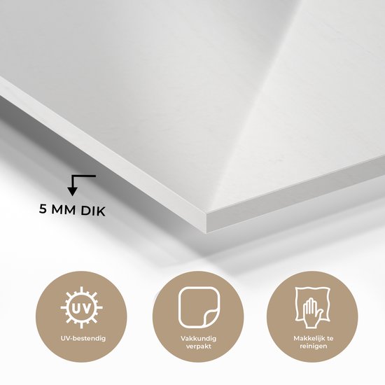 Gros plan des feuilles d'absinthe Plexiglas 120x80 cm - Tirage photo sur Glas (décoration murale plexiglas)