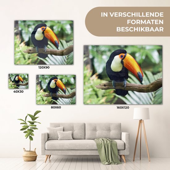 Un toucan regarde vers le bas d'une branche Plexiglas 80x60 cm - Tirage photo sur Glas (décoration murale en plexiglas)