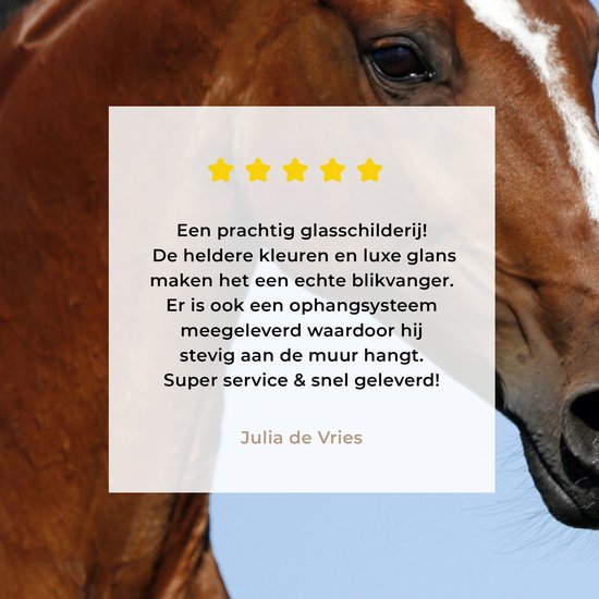® Glasschilderij 120x160 cm - Schilderij acrylglas - Paard - Natuur - Bruin - Foto op glas - Muurdecoratie woonkamer - Wanddecoratie slaapkamer - Schilderijen