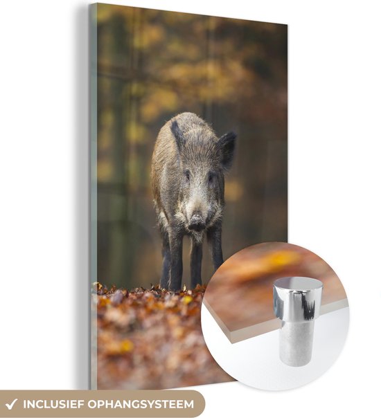 MuchoWow® Glasschilderij - Wild dier - Bos - Herfst - Acrylglas Schilderijen - Foto op Glas