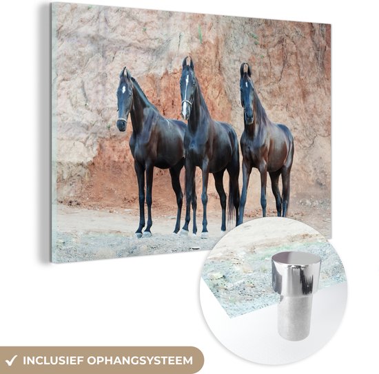 MuchoWow® Glasschilderij 180x120 cm - Schilderij acrylglas - Paarden - Marwari - Rotsen - Foto op glas - Schilderijen