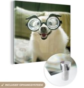 MuchoWow® Glasschilderij 90x90 cm - Schilderij acrylglas - Dier - Hond - Bril - Foto op glas - Schilderijen