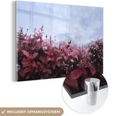 MuchoWow® Glasschilderij 90x60 cm - Schilderij acrylglas - Bloemen in de mist - Foto op glas - Schilderijen