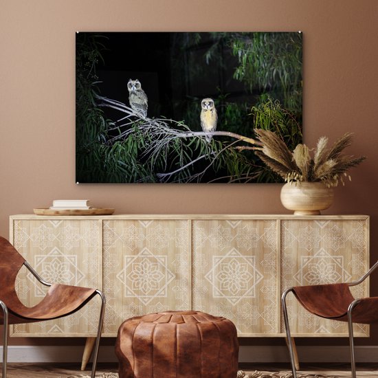 Deux chouettes fauves à rayures dans la nuit de la forêt tropicale Plexiglas 120x80 cm - Tirage photo sur verre (décoration murale en plexiglas)